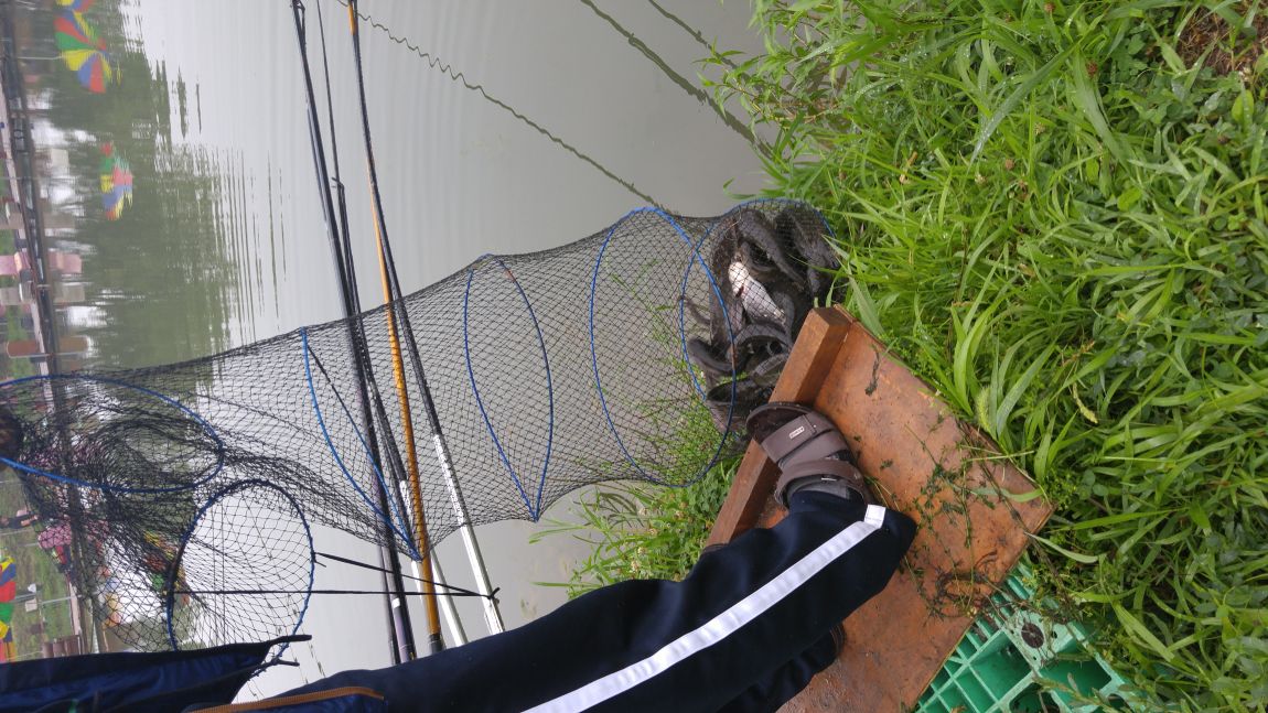 20150718_214015.jpg