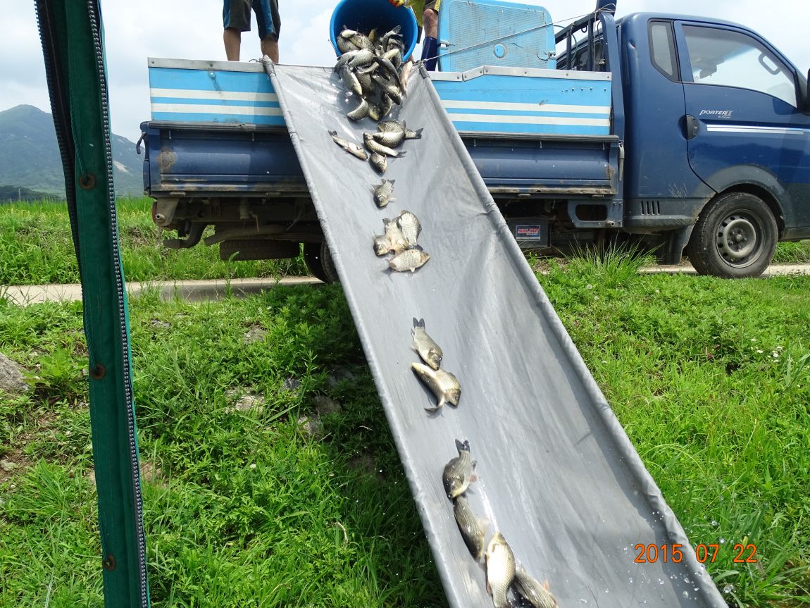 DSC00713.JPG