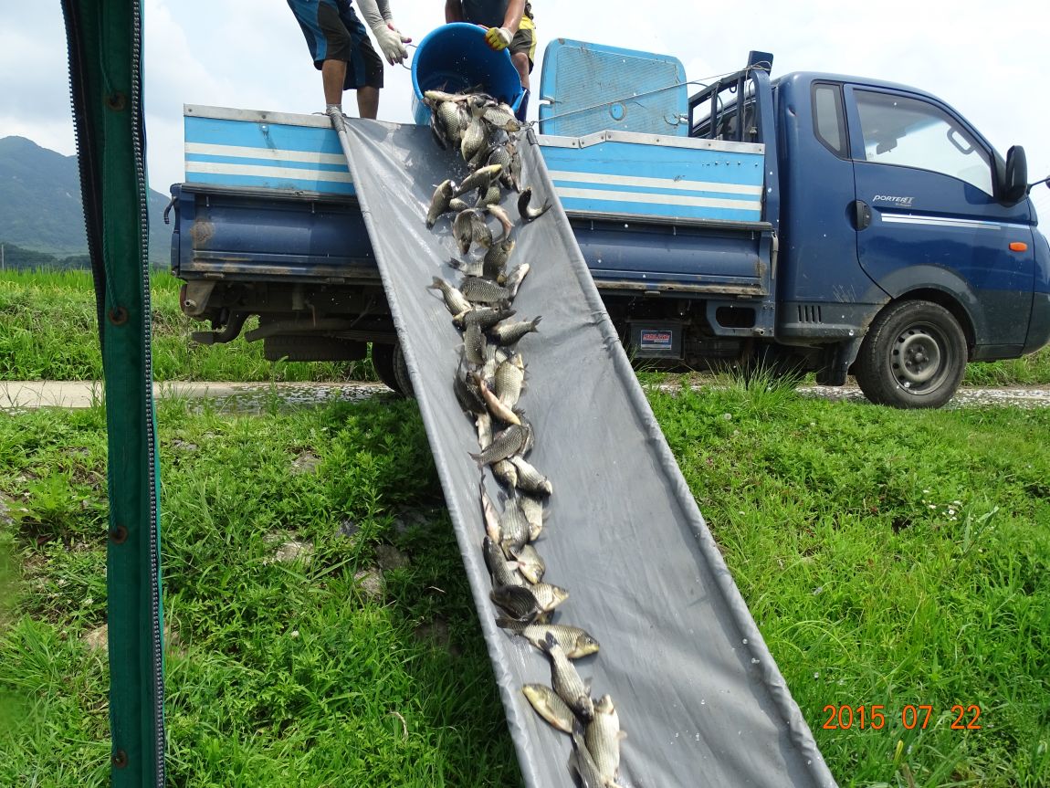 DSC00716.JPG