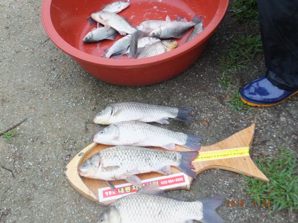 201300703 045.jpg