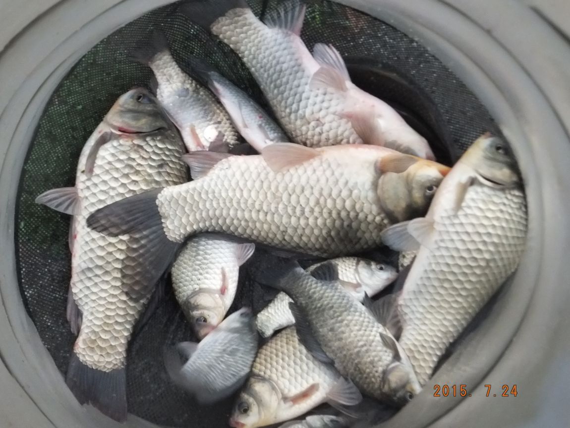 201300703 040.jpg