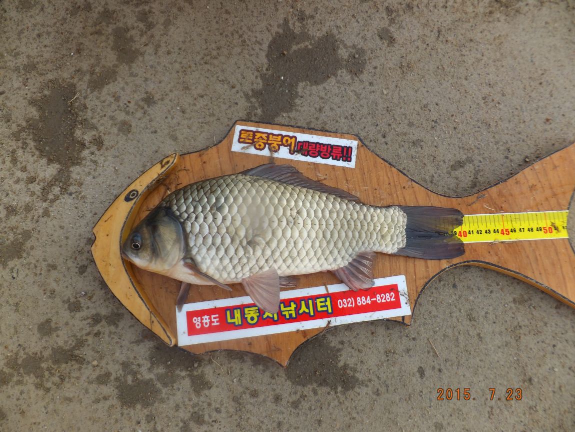 201300703 028.jpg