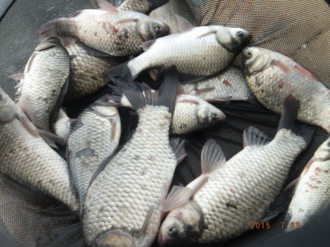201300703 023.jpg
