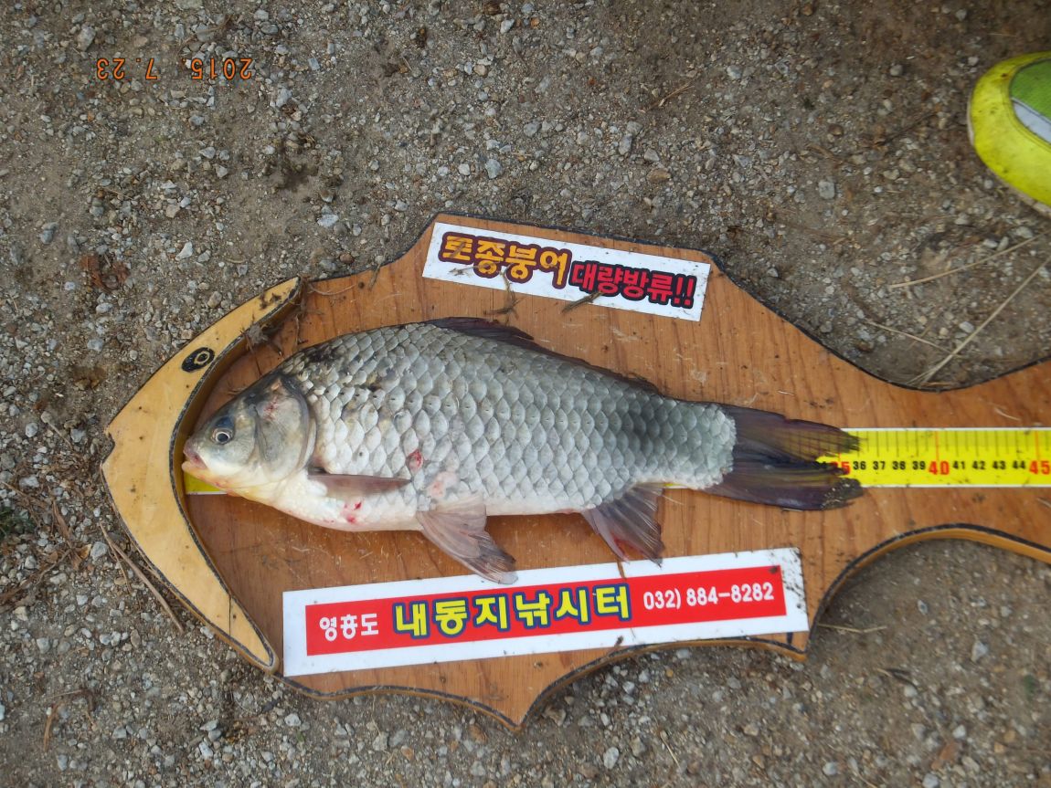 201300703 021.jpg