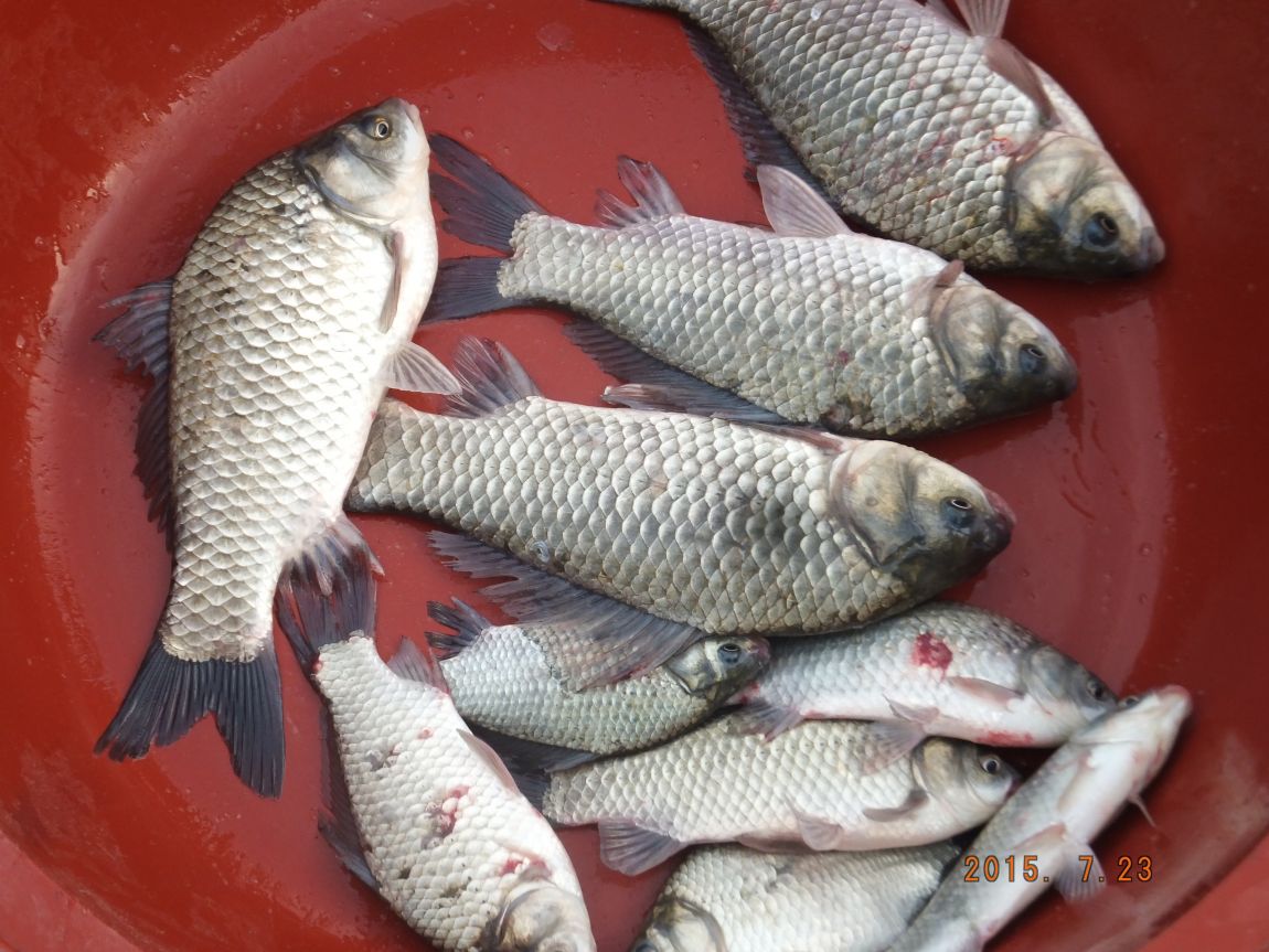 201300703 014.jpg