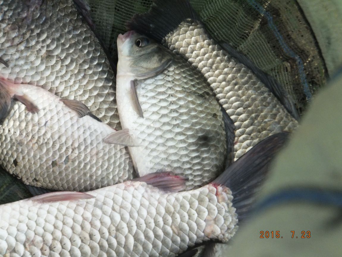 201300703 018.jpg