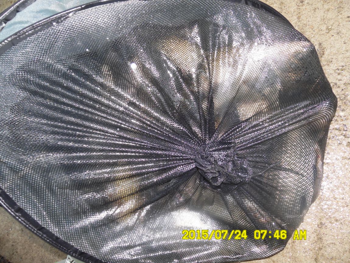 7��23��~24�� 006.JPG