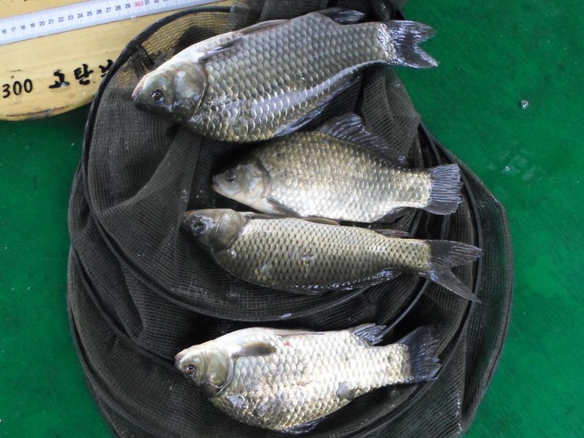SAM_3437.JPG