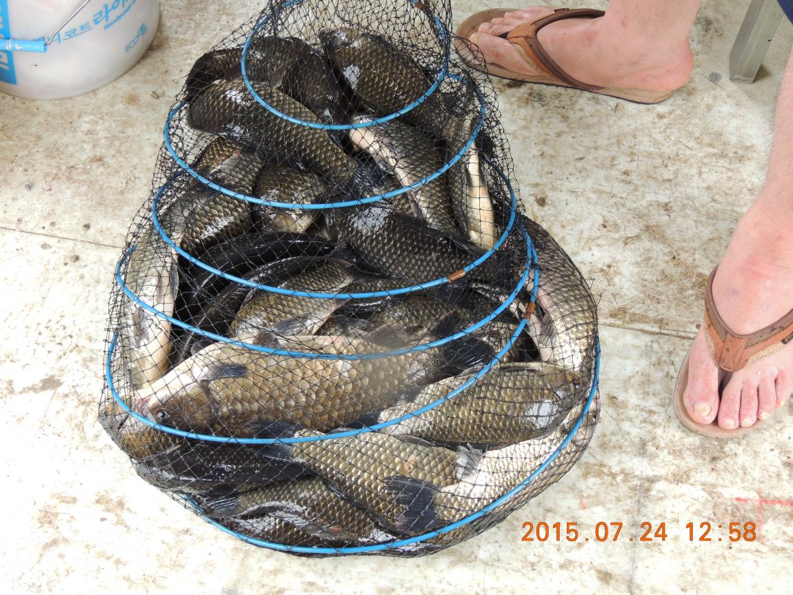 DSCN9360.JPG