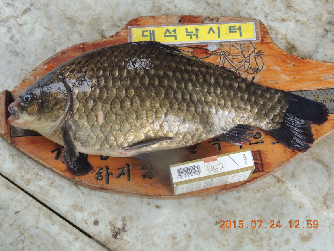 DSCN9361.JPG