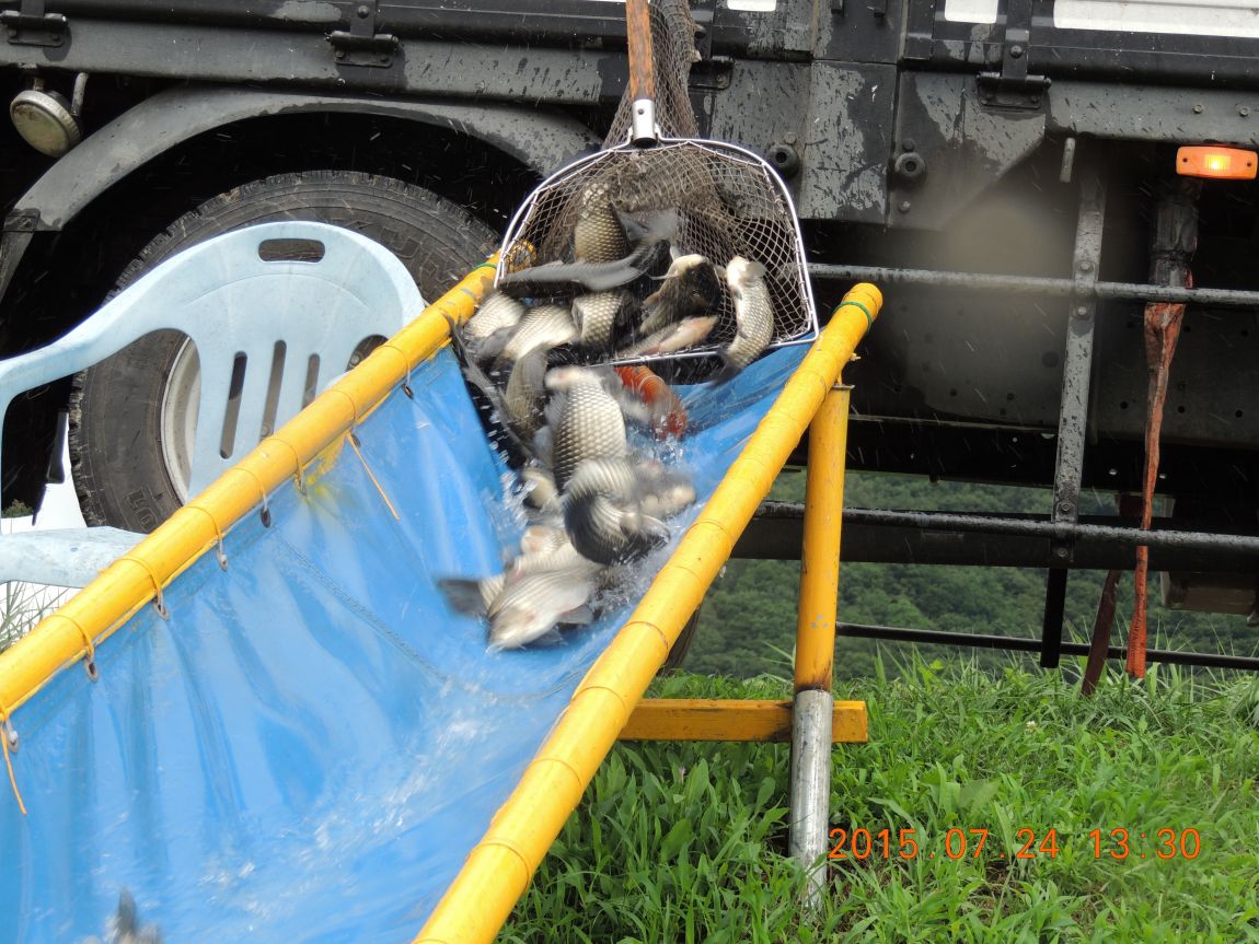DSCN9369.JPG
