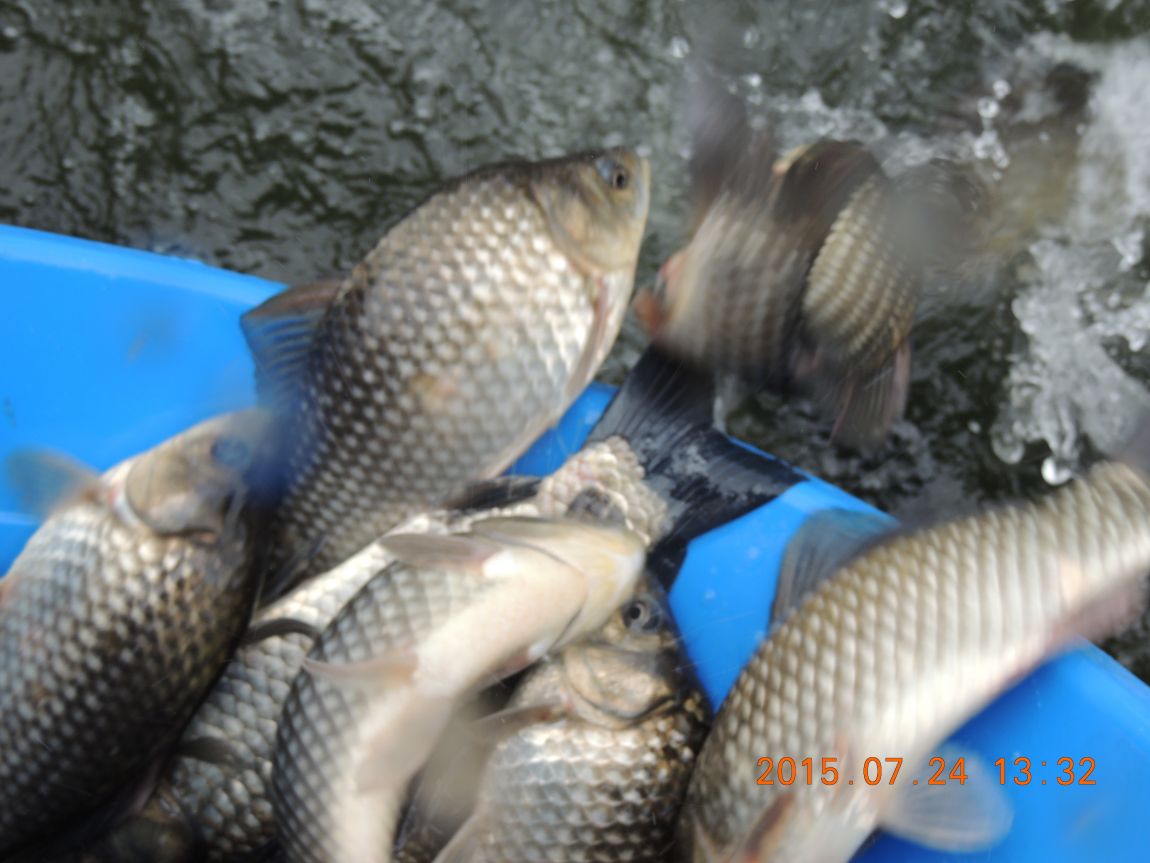DSCN9375.JPG