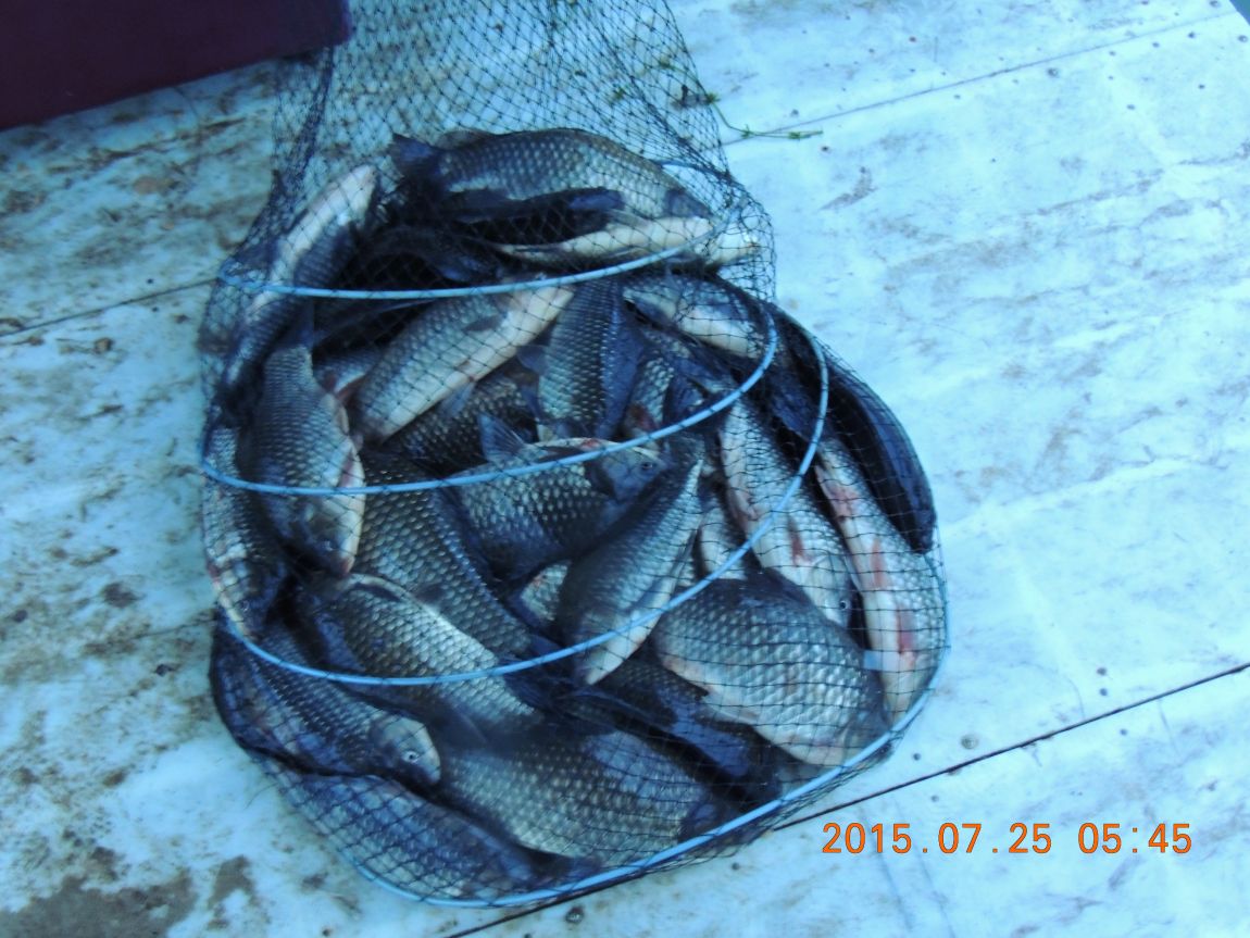 DSCN9401.JPG