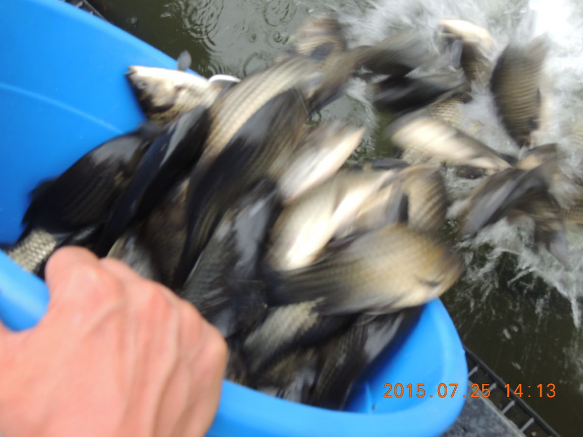 DSCN9416.JPG