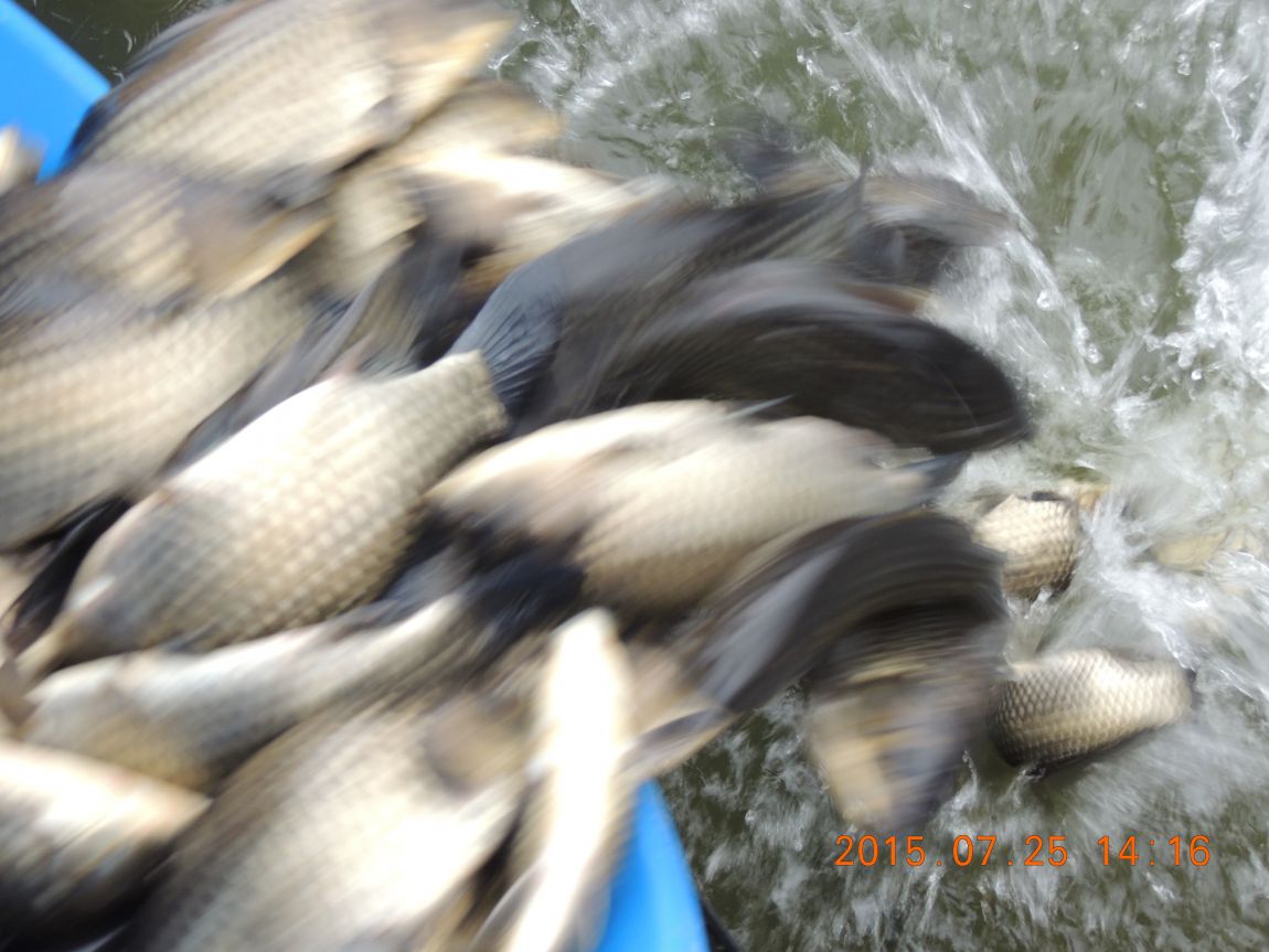 DSCN9424.JPG