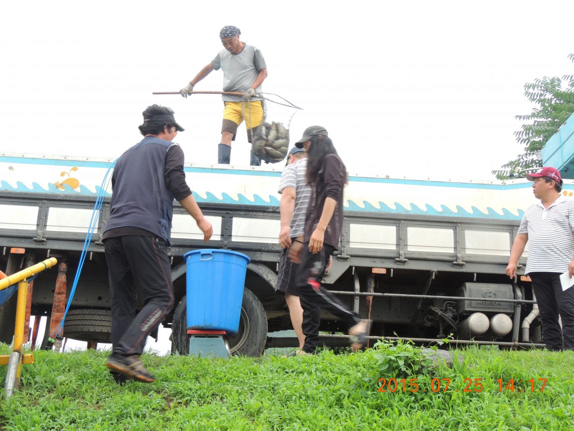 DSCN9429.JPG