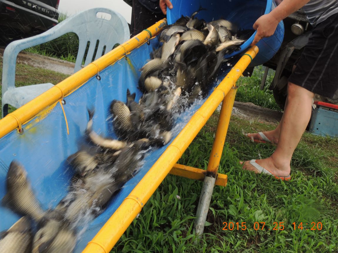 DSCN9437.JPG