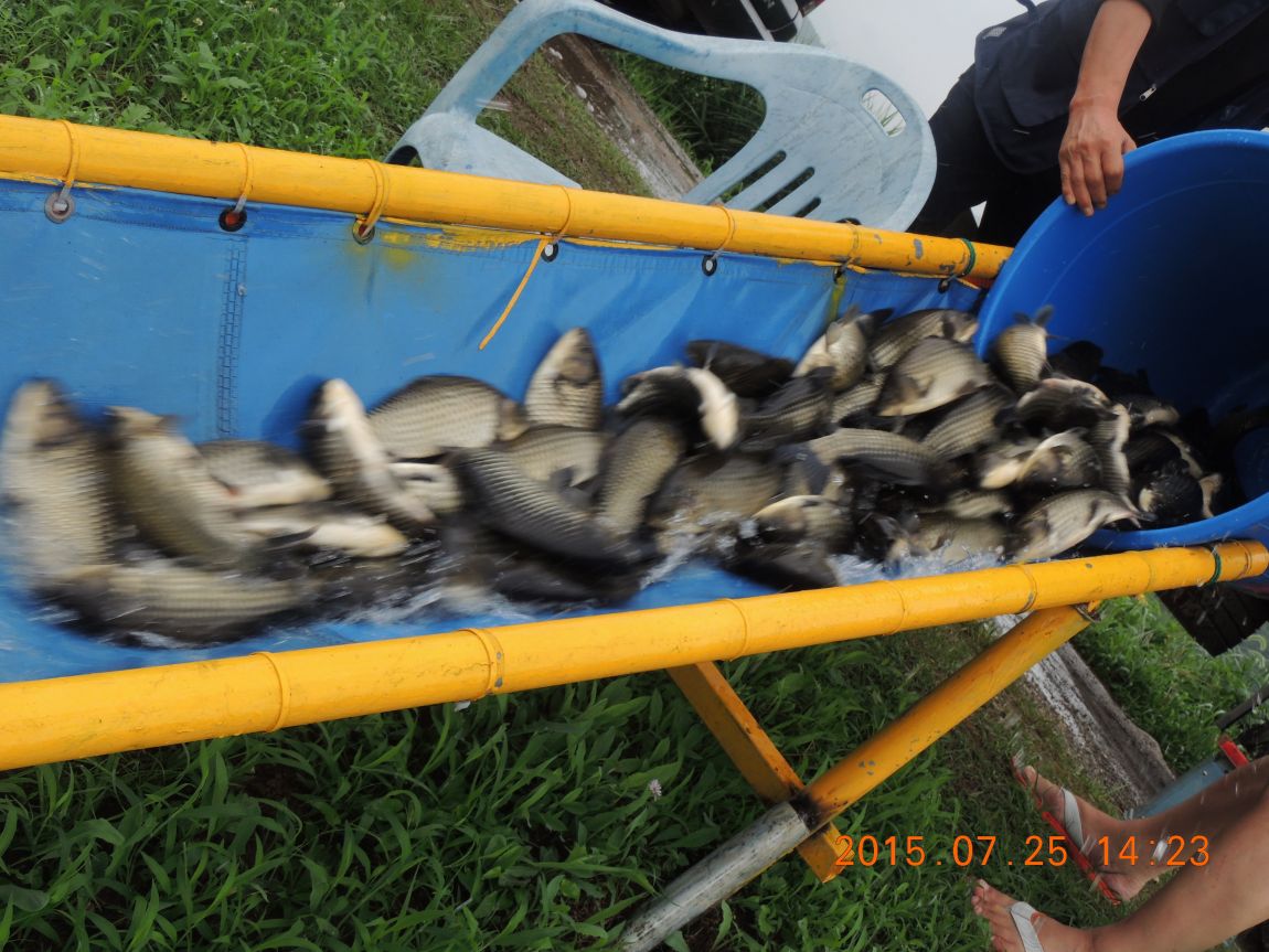 DSCN9453.JPG