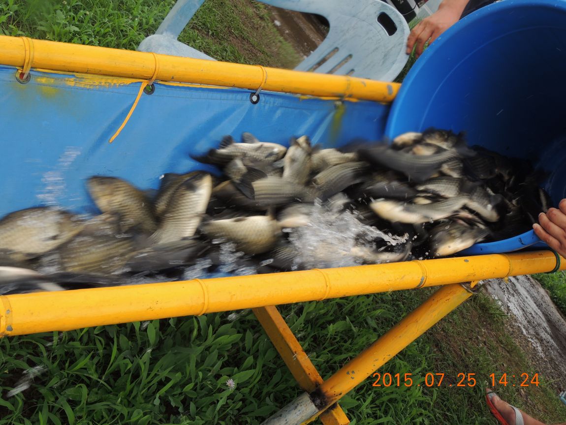 DSCN9458.JPG
