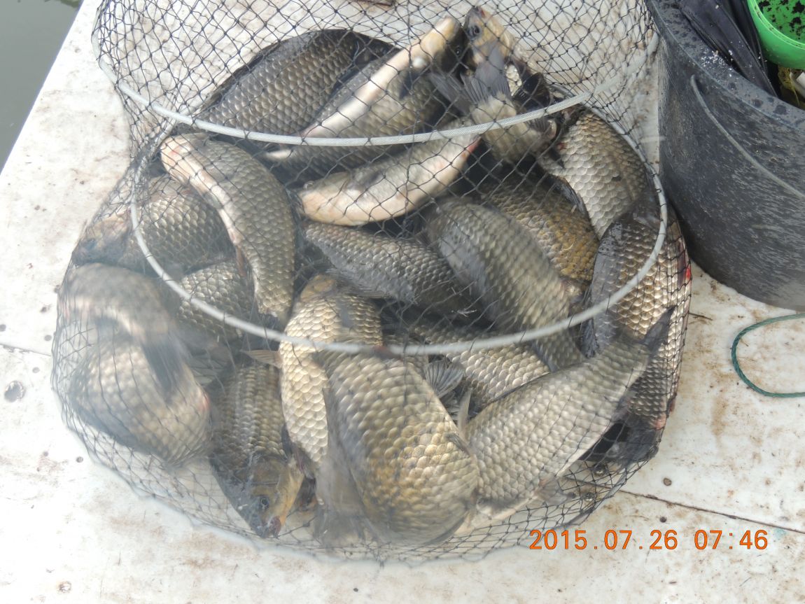 DSCN9494.JPG