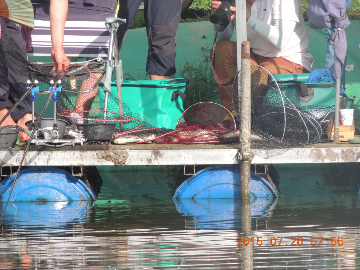 DSCN9498.JPG