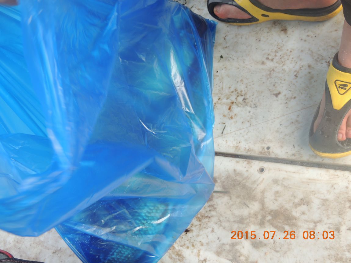 DSCN9504.JPG