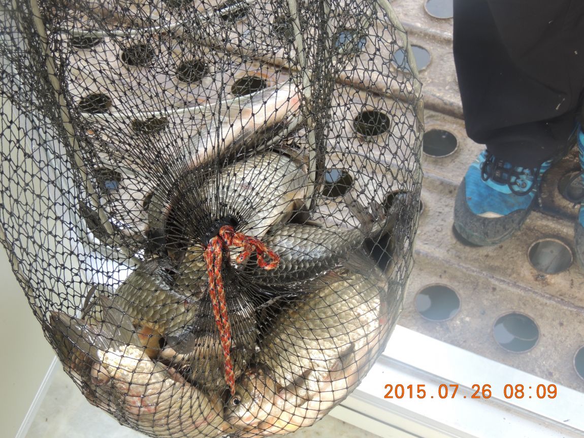 DSCN9509.JPG
