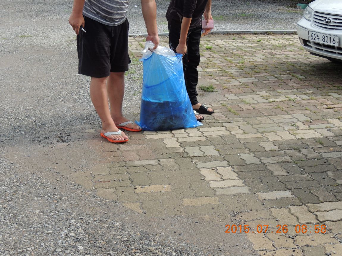 DSCN9517.JPG