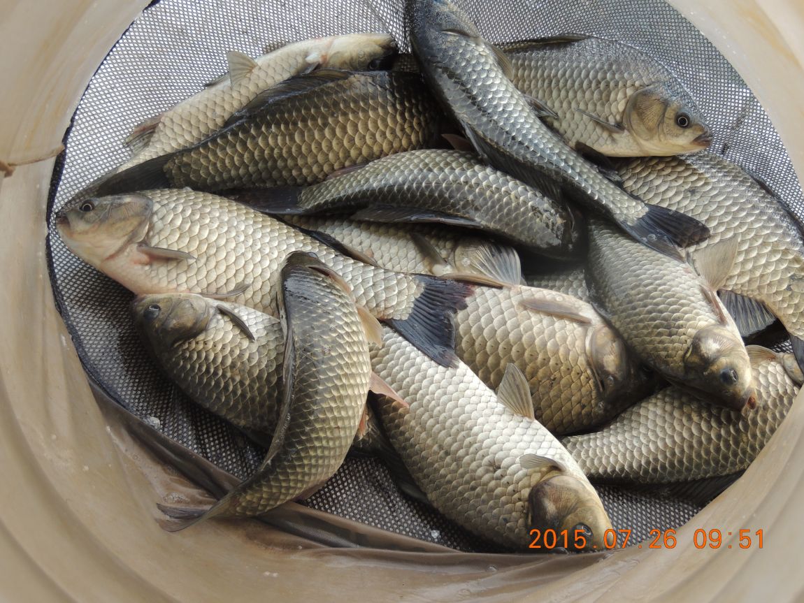 DSCN9519.JPG