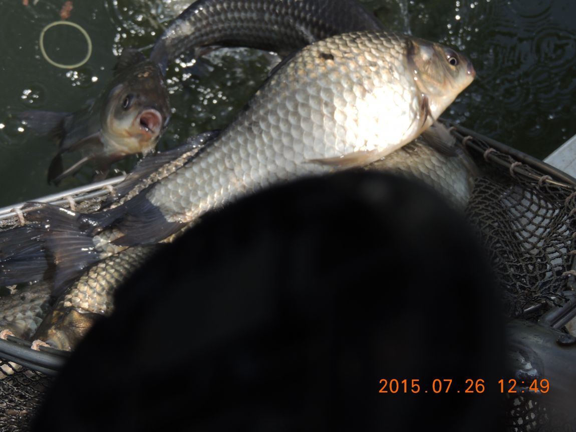 DSCN9521.JPG
