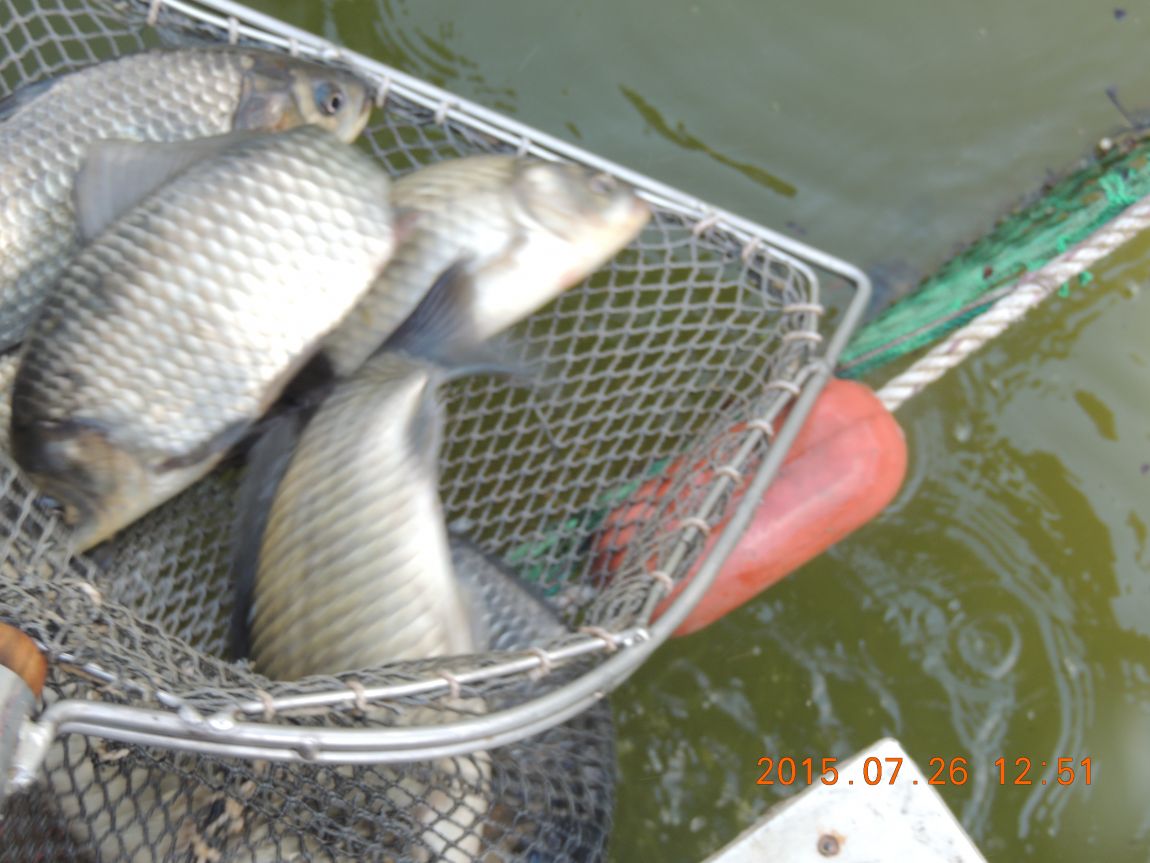 DSCN9525.JPG