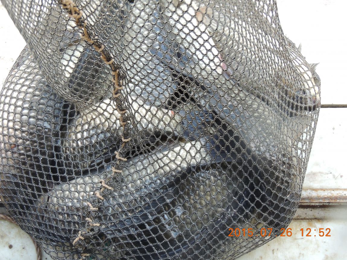 DSCN9528.JPG