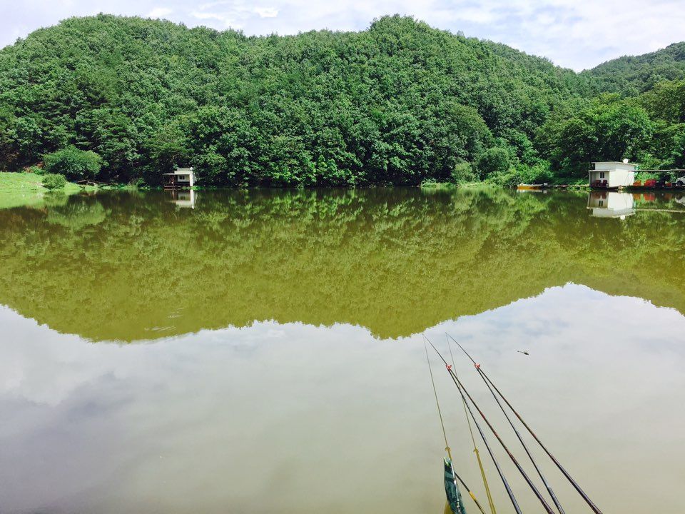 KakaoTalk_20150726_164113145.jpg