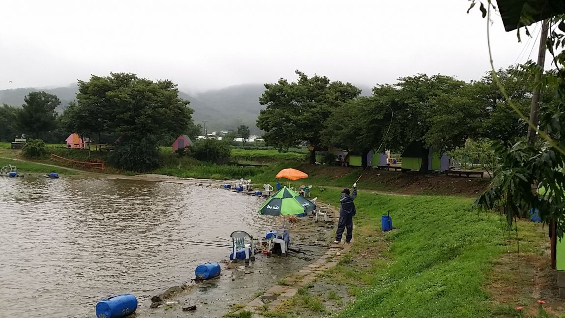 20150725_155034.jpg