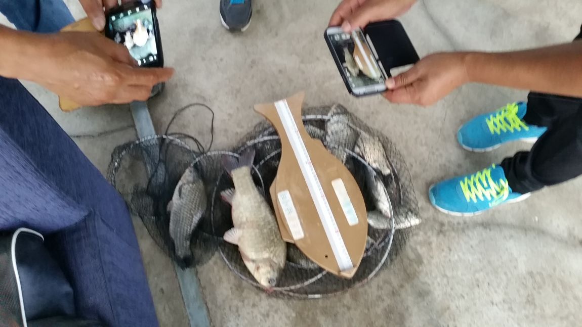 20150725_182746.jpg