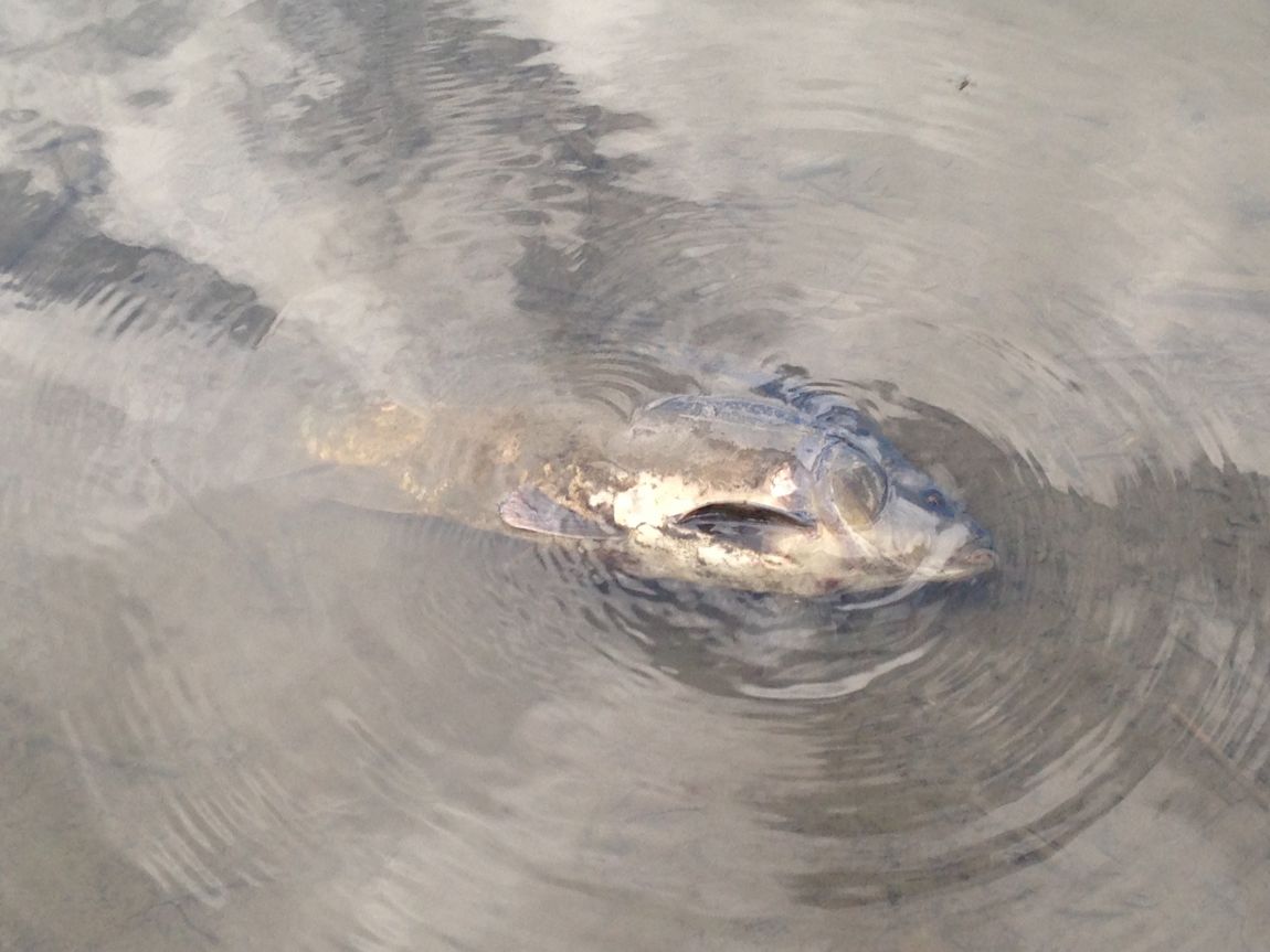 ���� 029.jpg