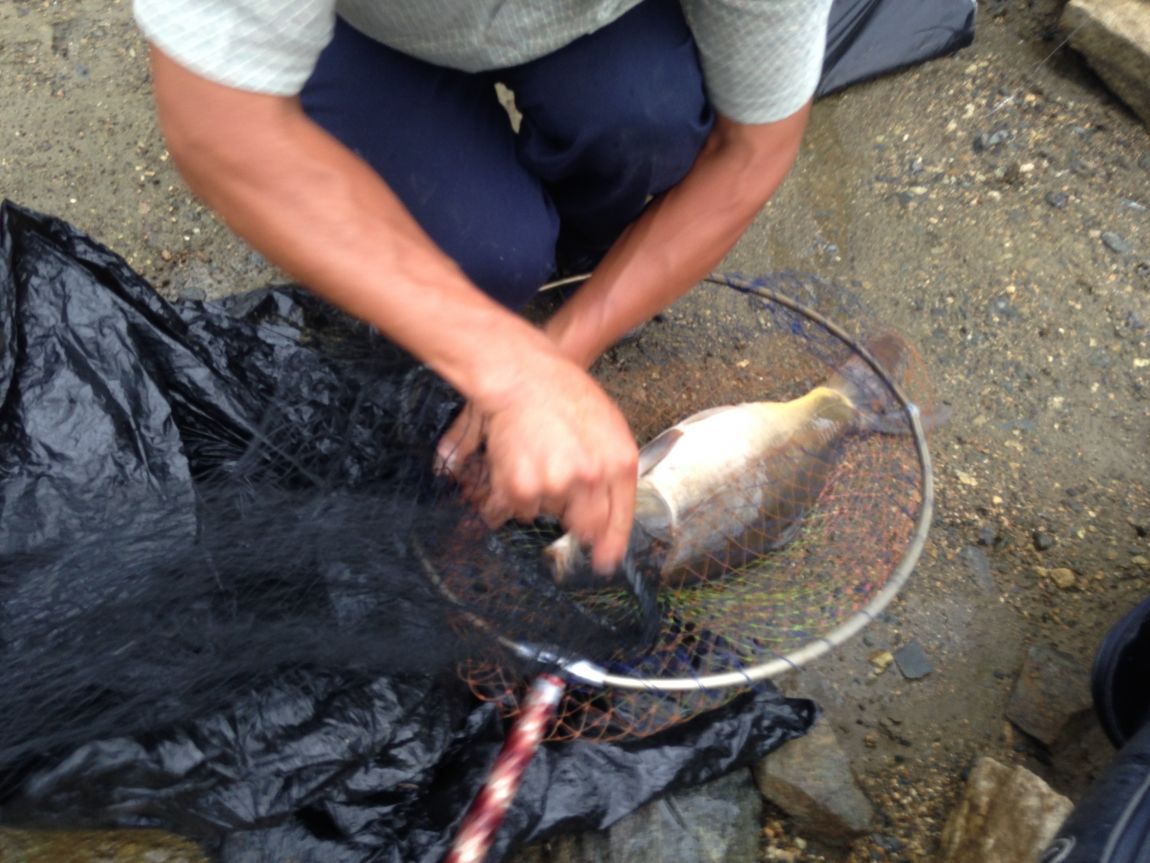 ���� 006.jpg