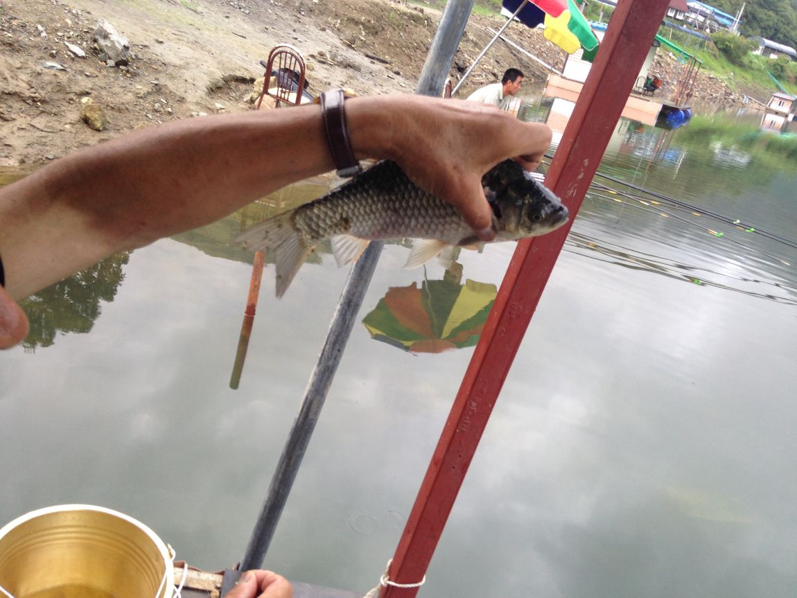 ���� 007.jpg