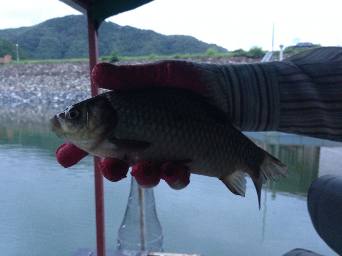 ���� 009.jpg