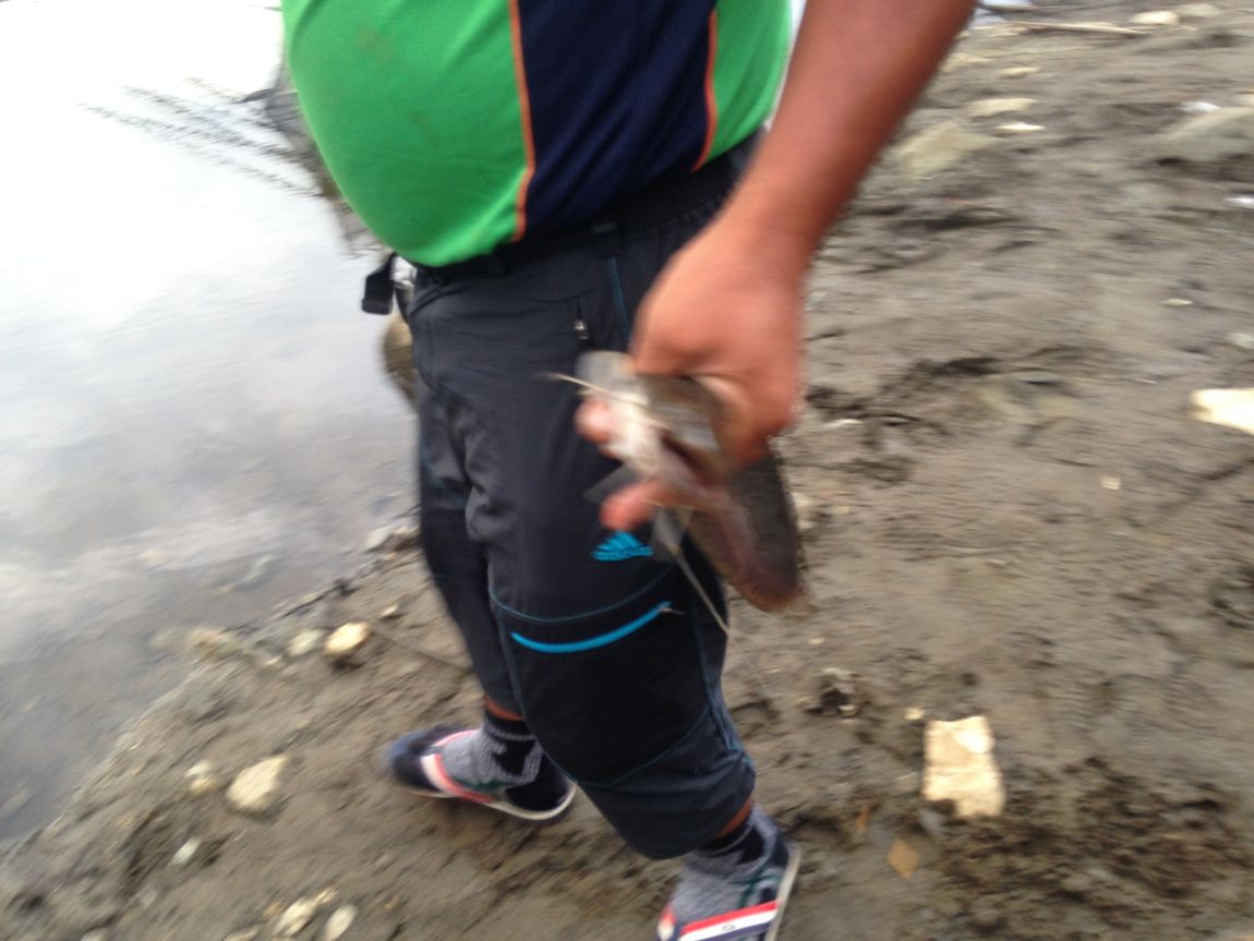 ���� 012.jpg