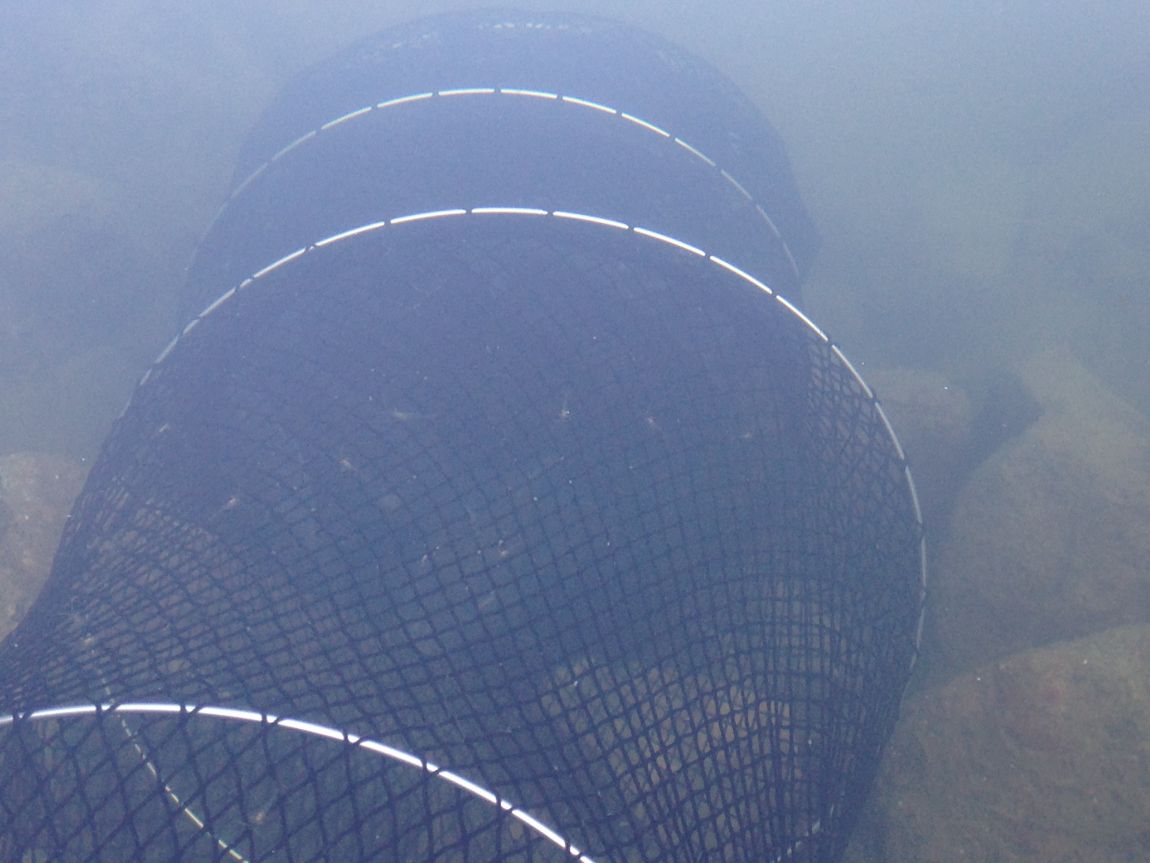 ���� 017.jpg