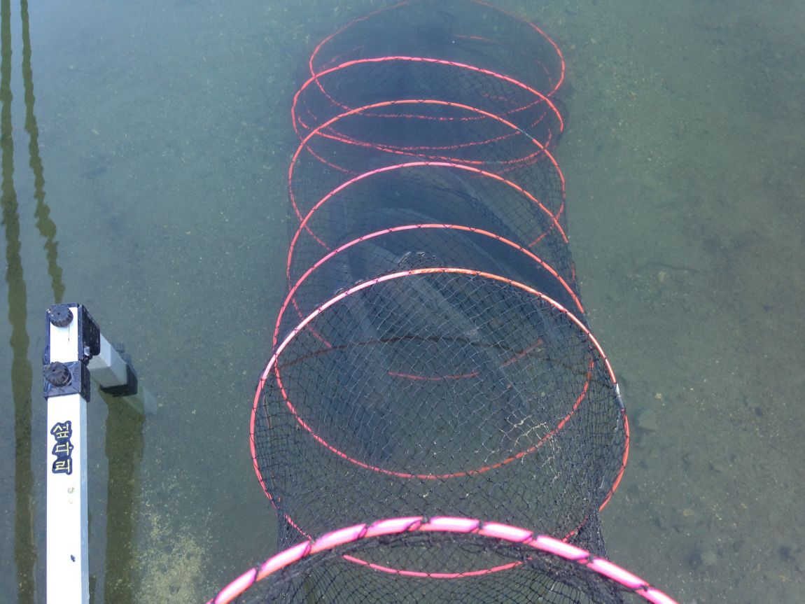 ���� 021.jpg