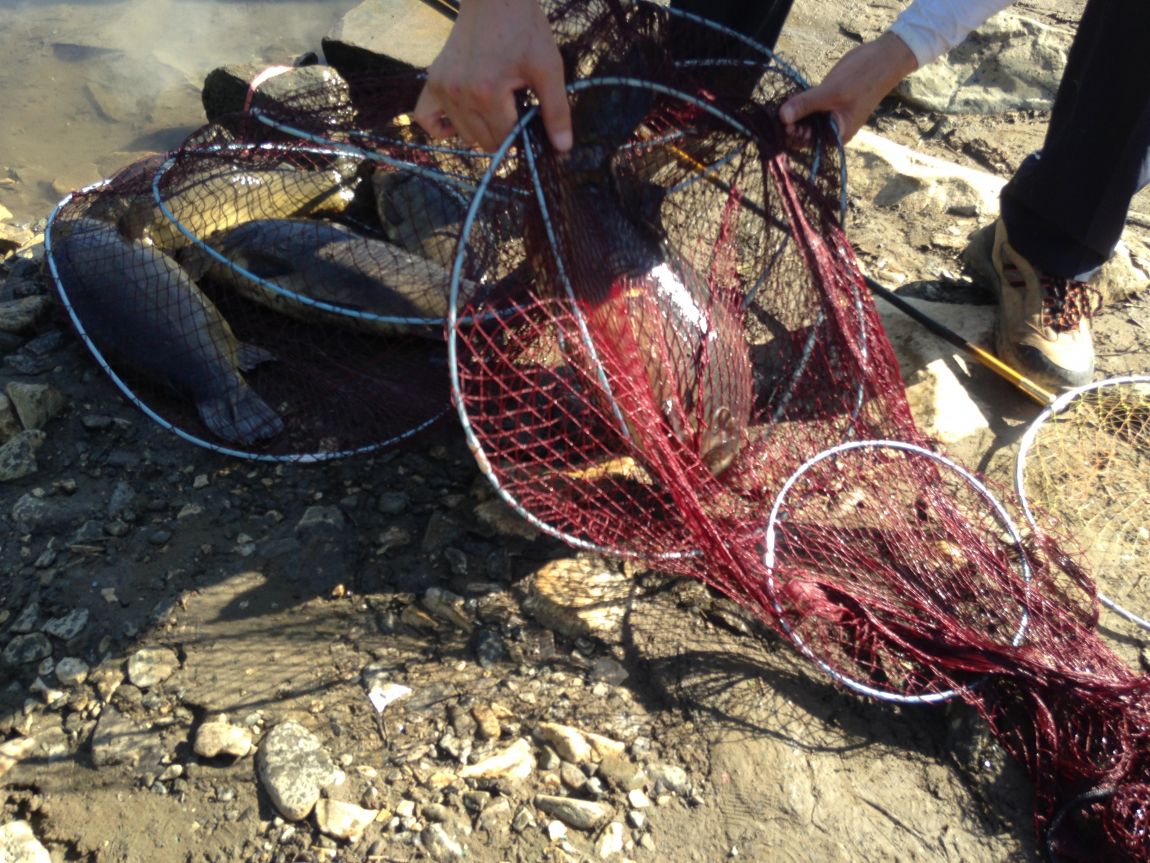 ���� 022.jpg