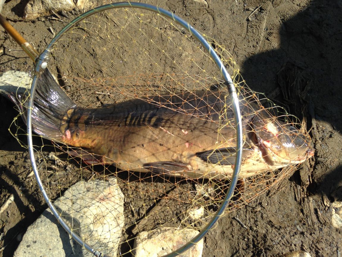 ���� 023.jpg