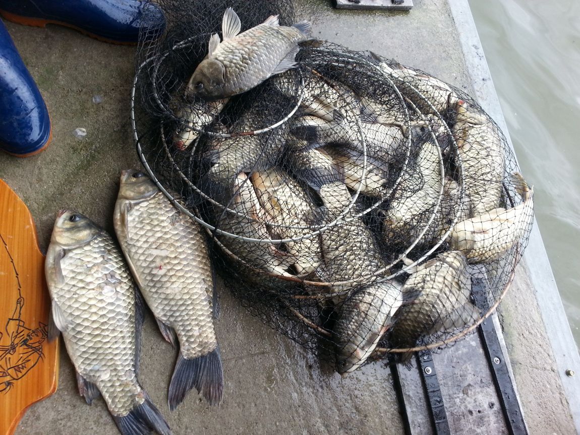 20150725_101506.jpg