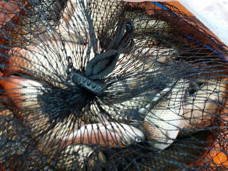 20150726_070731.jpg