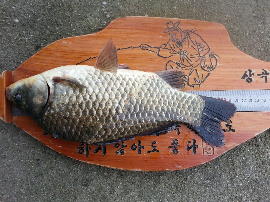 20150725_094623.jpg
