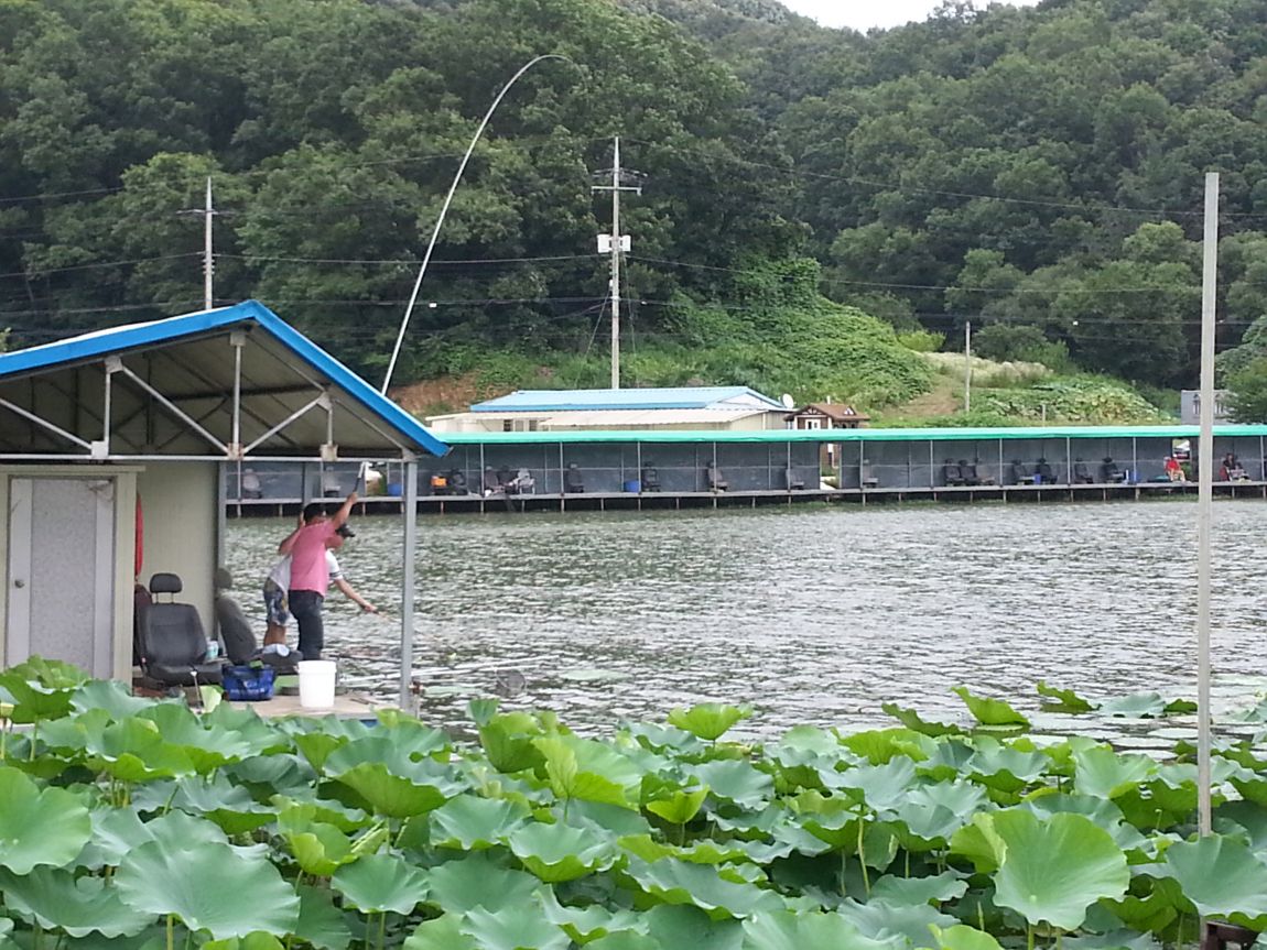 20150725_155955.jpg
