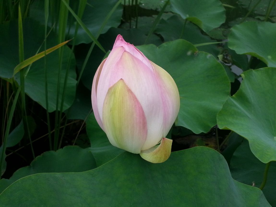 20150720_171519.jpg