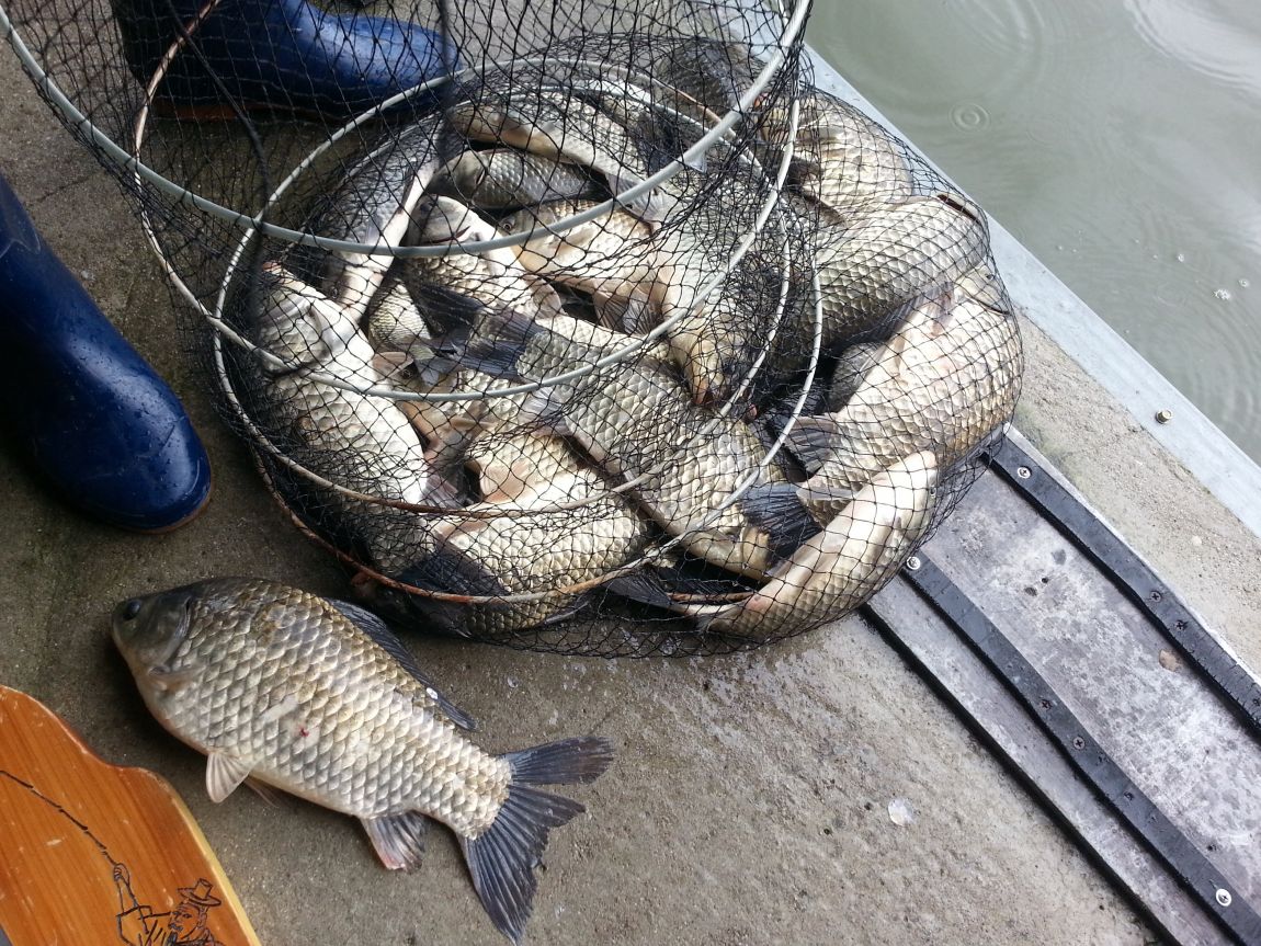 20150725_101330.jpg
